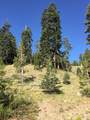 33981 Fremont Road - Photo 8