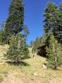 33981 Fremont Road - Photo 9