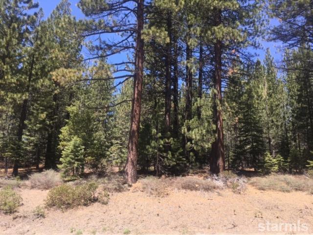 1427 Pioneer Trail - Photo 1