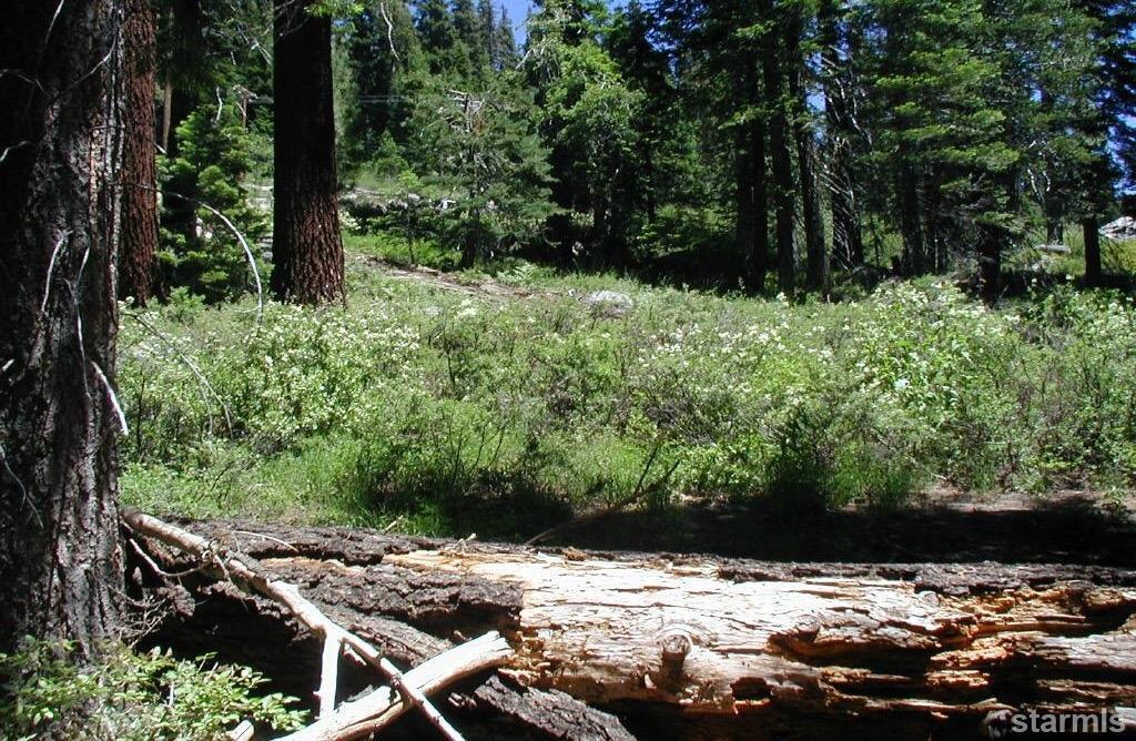 0 Highway 50 - Photo 1