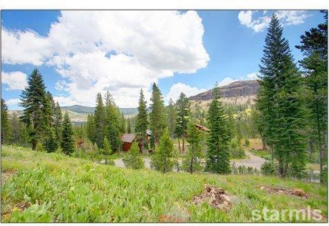 33965 Fremont Road - Photo 1
