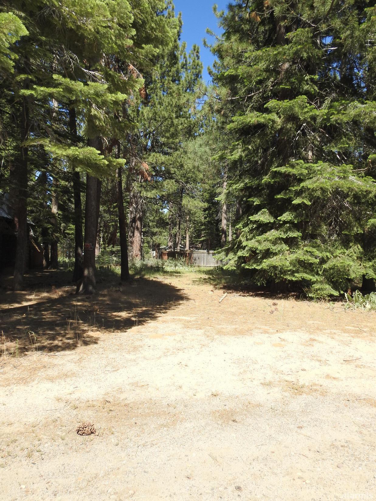 1125 Dedi Avenue - Photo 1