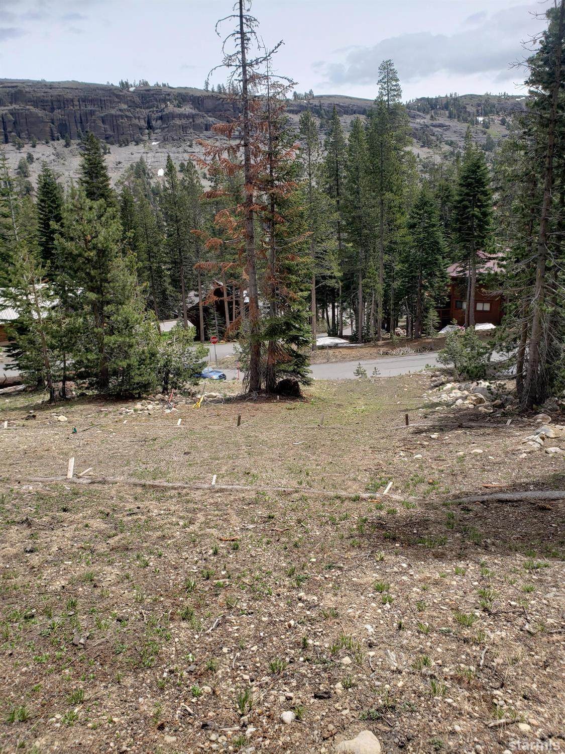 33785 Danburg Drive - Photo 1