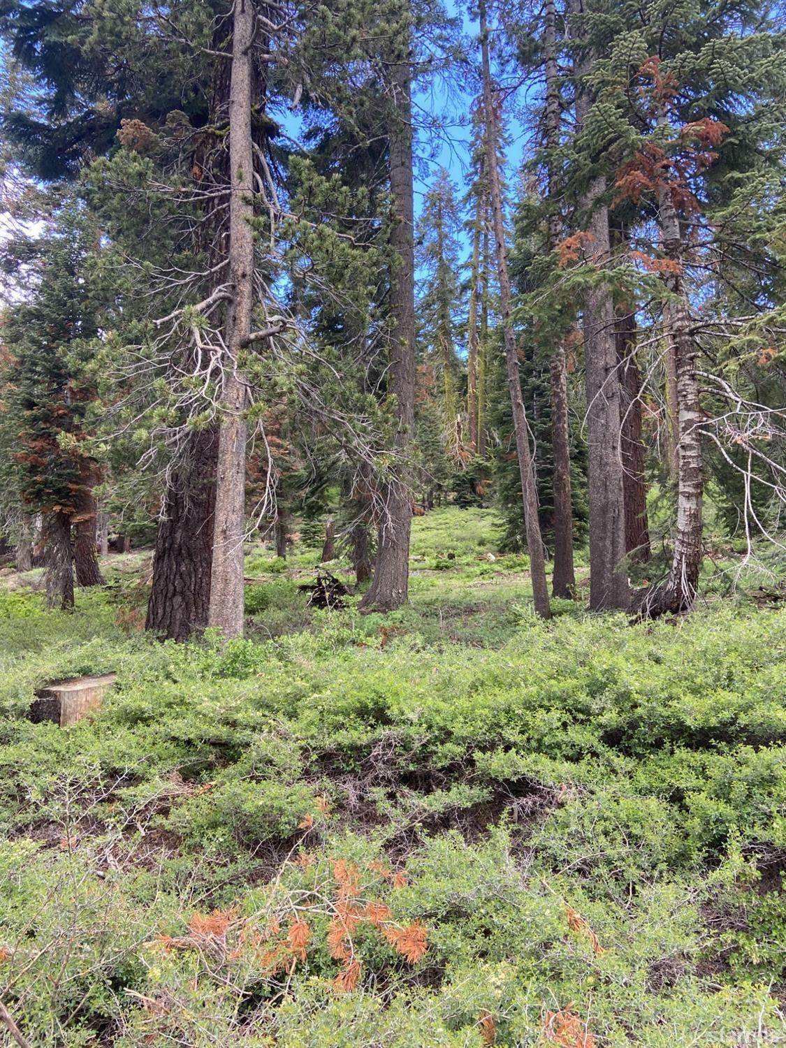 20621 Us Highway 50 - Photo 1