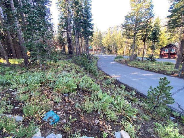 25 Larkspur Drive - Photo 1