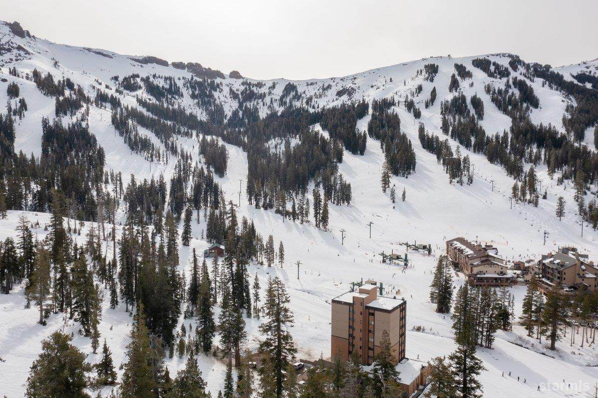 1511 Kirkwood Meadows Drive - Photo 1