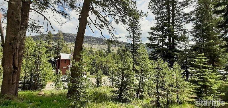 33839 Hawkweed Way - Photo 1