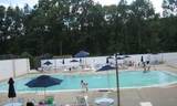 1100 Clove Road - Photo 19
