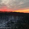 1000 Clove Road - Photo 25