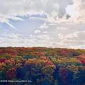 1000 Clove Road - Photo 26