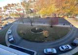 1100 Clove Road - Photo 4