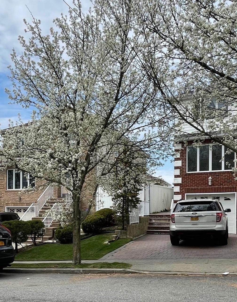 42 Van Brunt Street - Photo 1