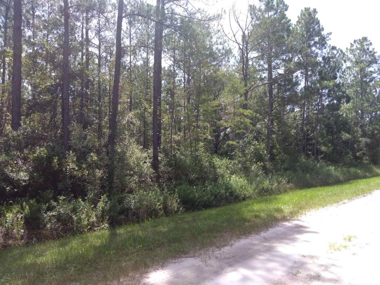 10560 Carpenter Ave - Photo 1