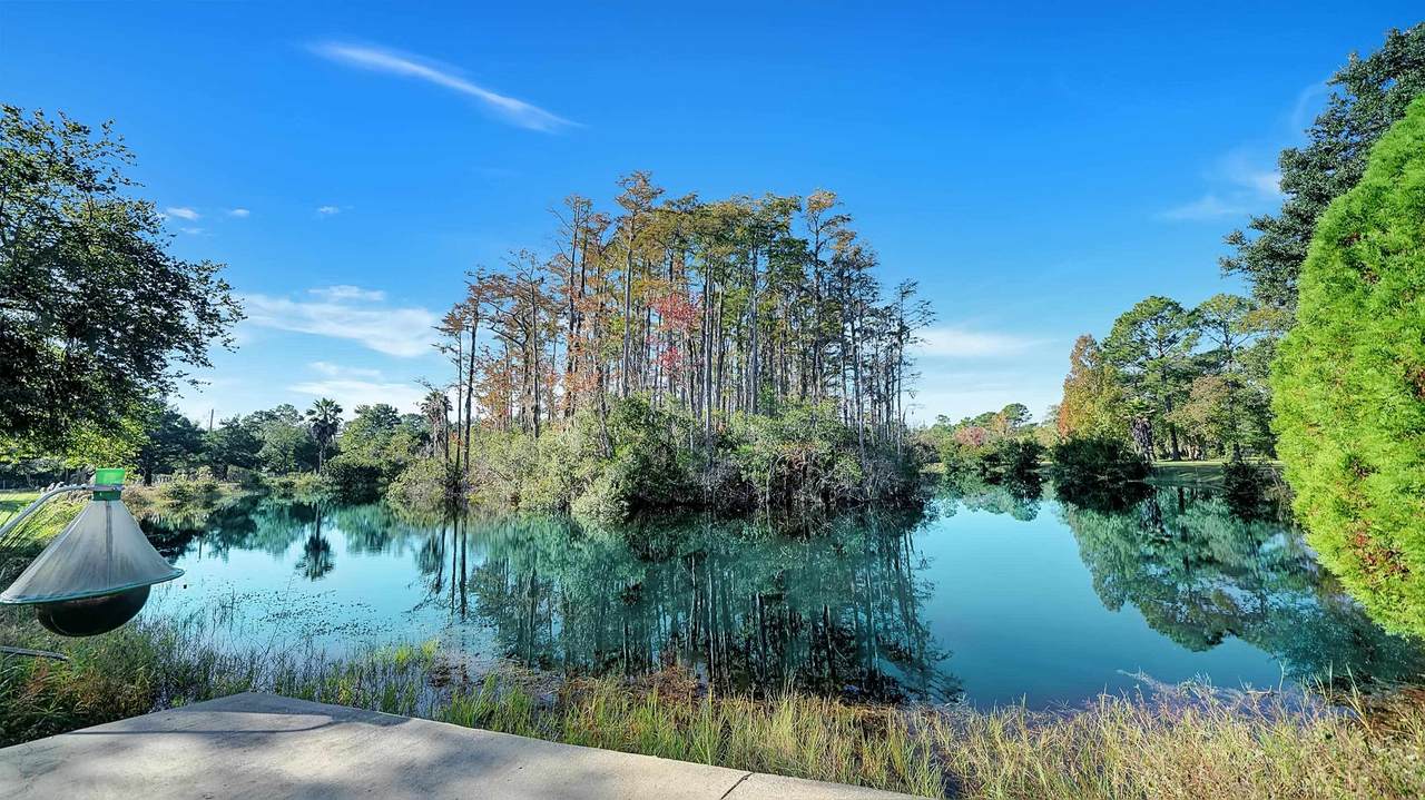 14212 Grover Rd - Photo 1