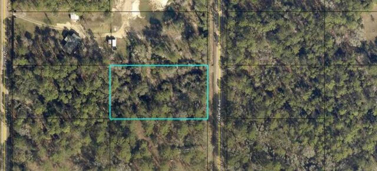 10025 Flikkema Ave - Photo 1