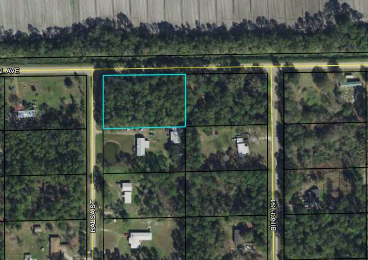6177 Canal - Photo 1