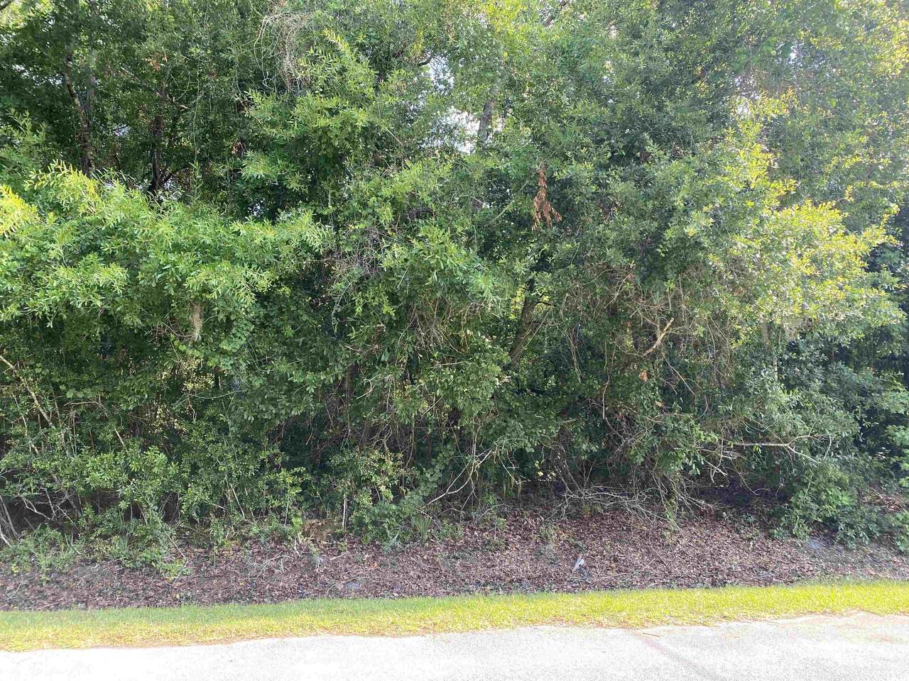 1022 White House Blvd - Photo 1