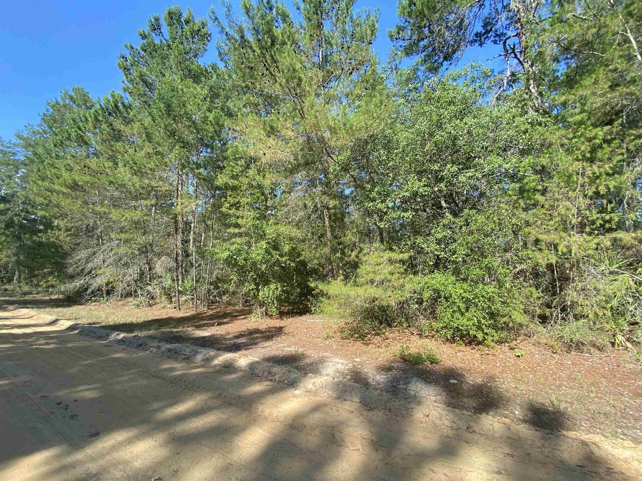 00 Selma Ave - Photo 1