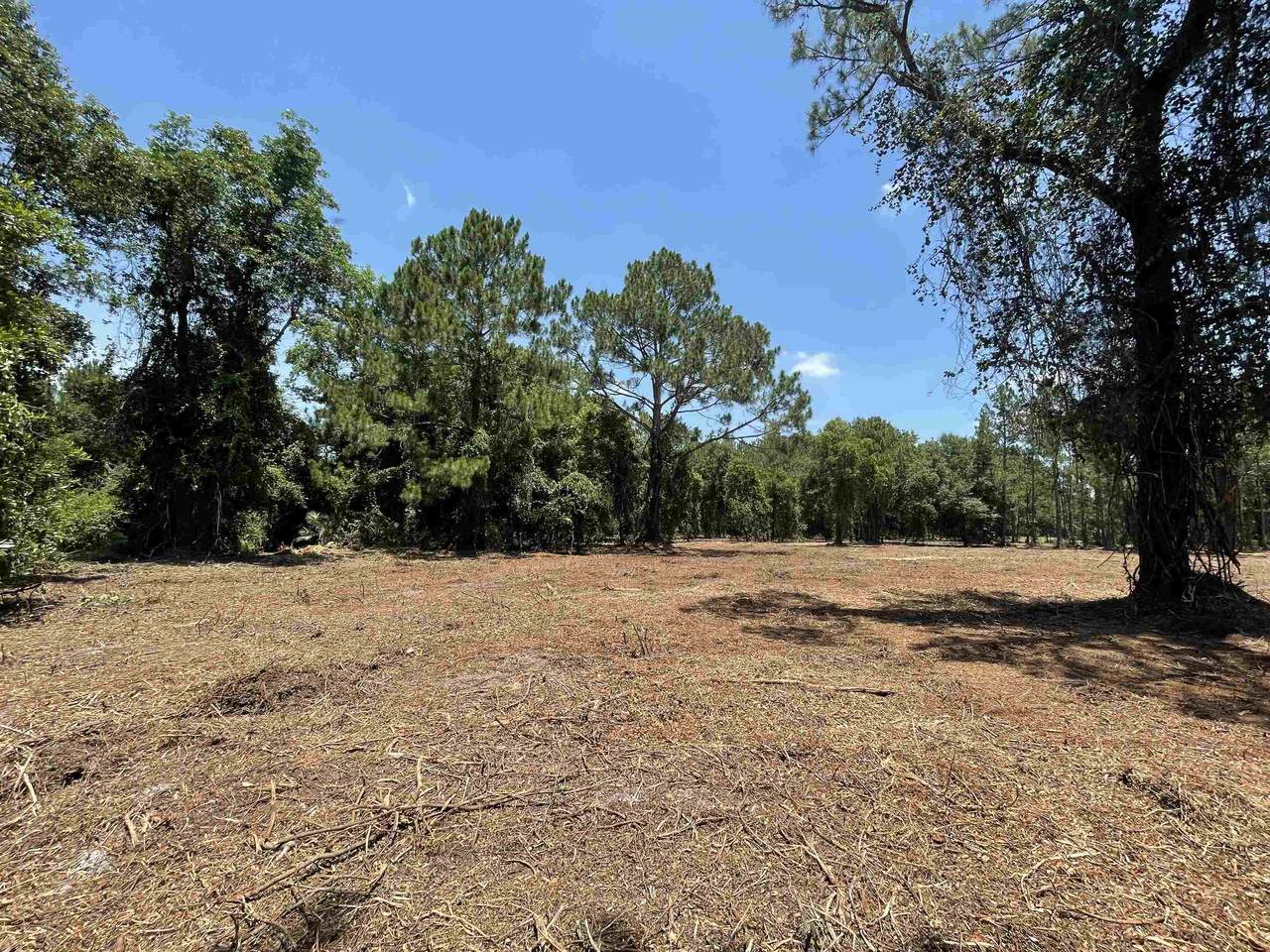 2031 Ryan Rd - Photo 1