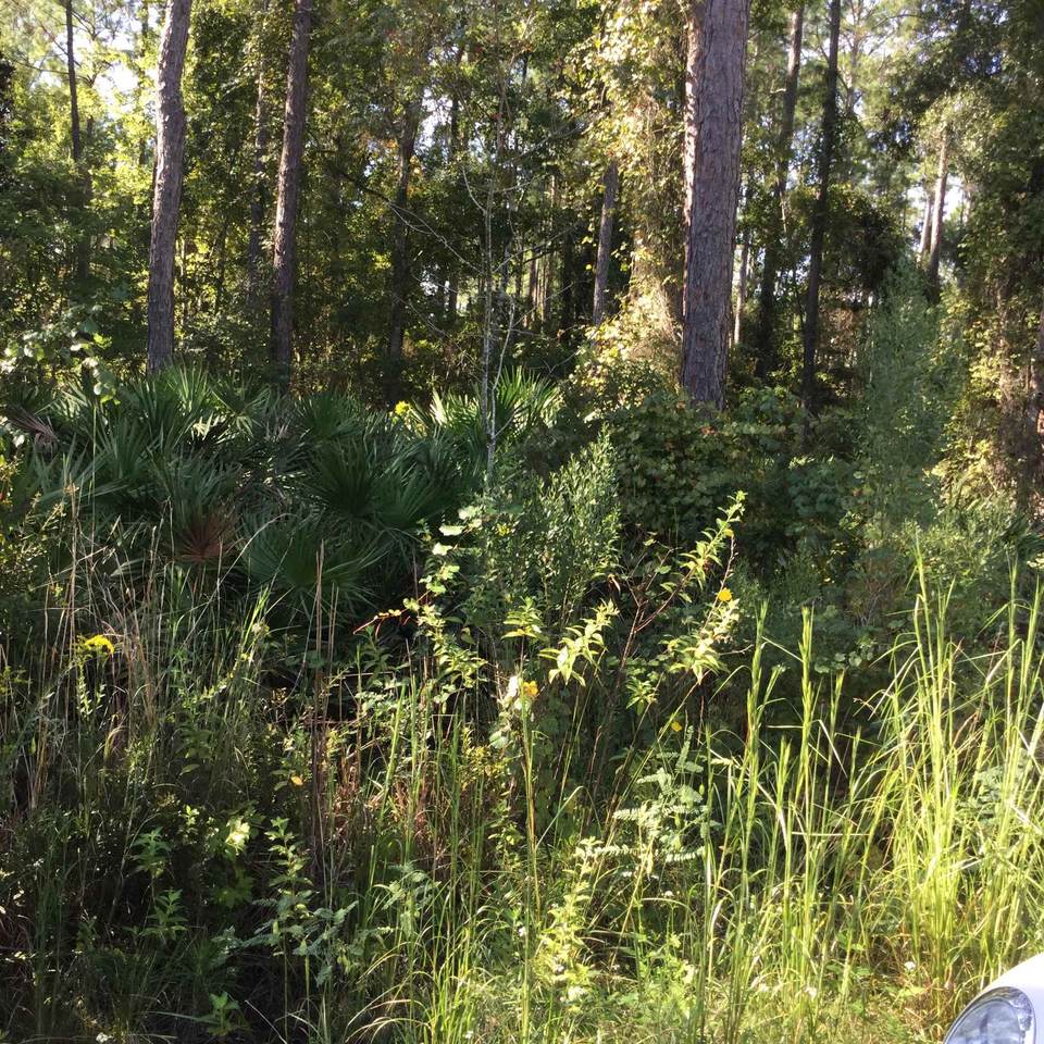 1206 Baden Powell Rd. - Photo 1