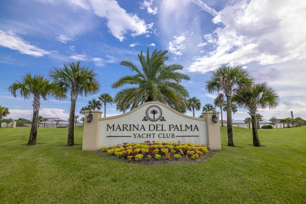 69 Del Palma Dr - Photo 1