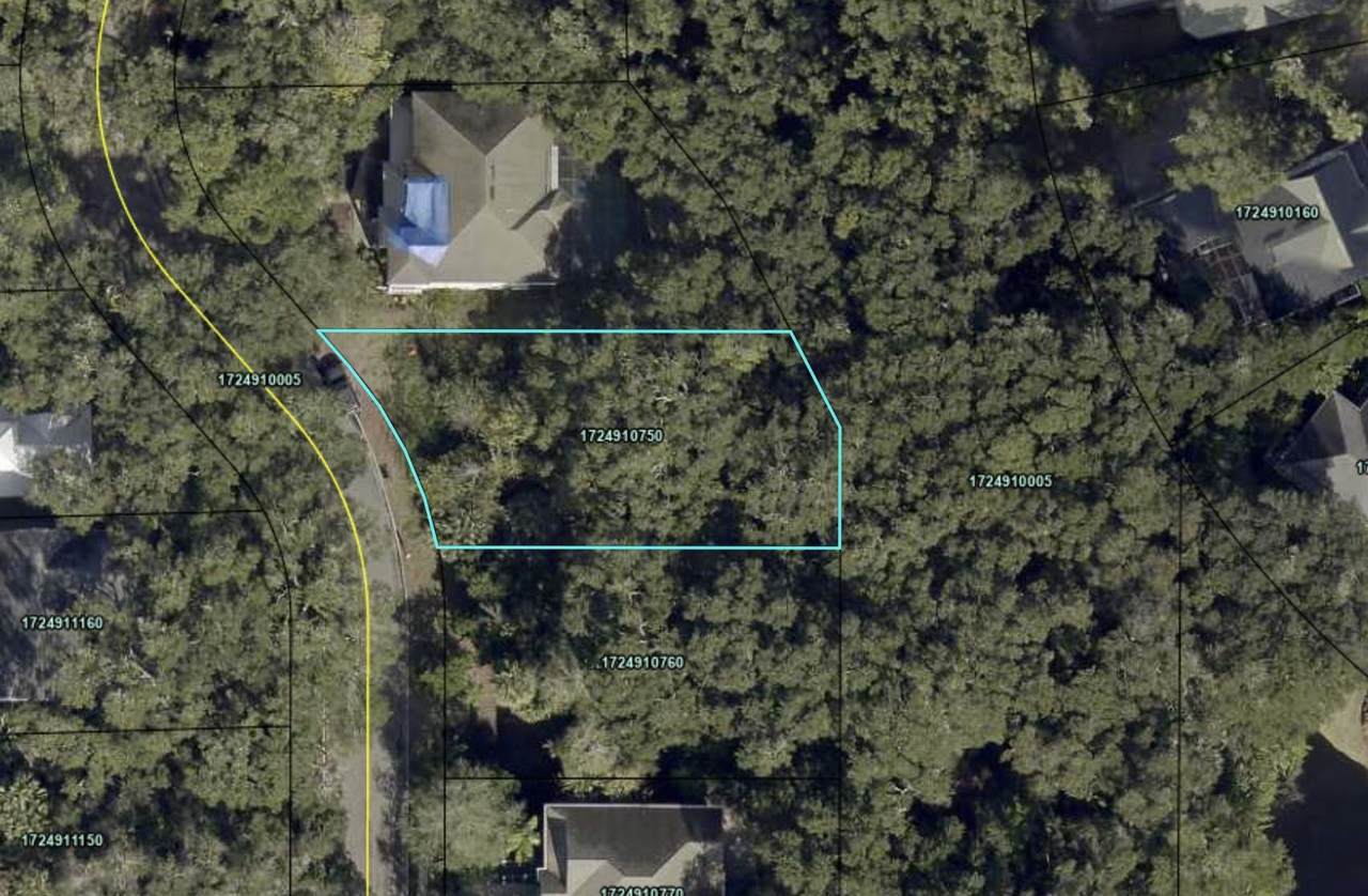 379 Ocean Forrest Dr - Photo 1