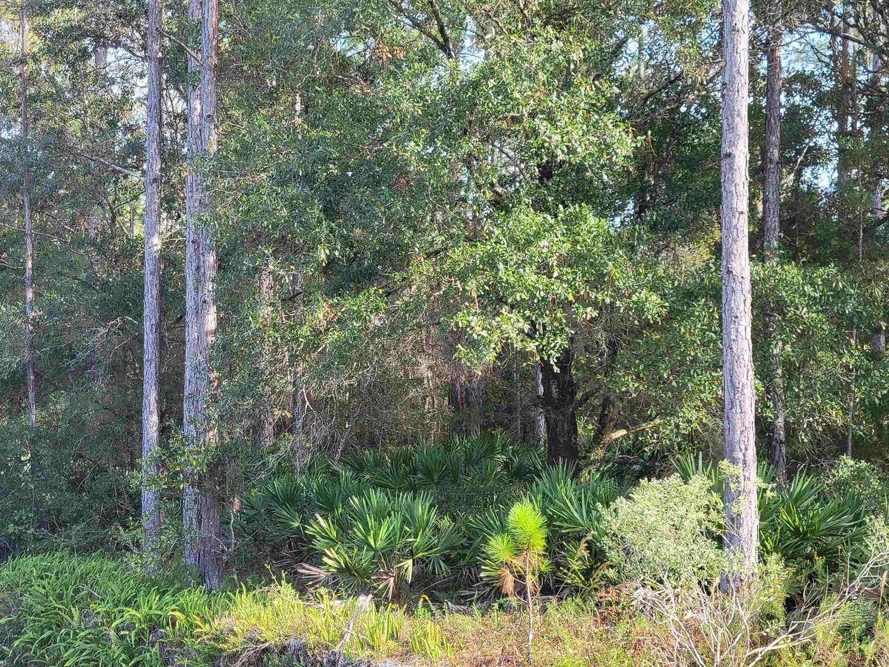 4405 Palatka Blvd - Photo 1