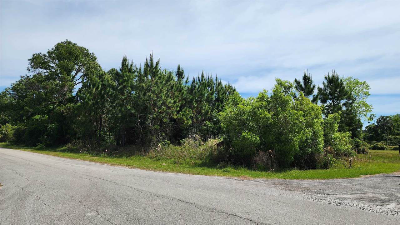 500 Palm Way - Photo 1