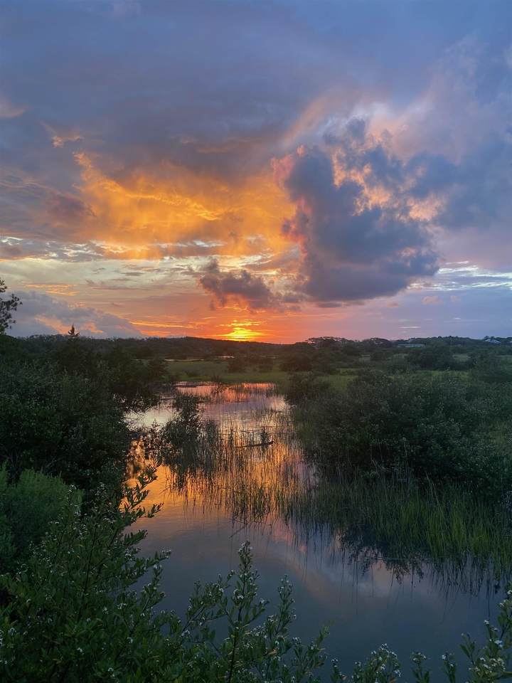 252 Majorca Rd - Photo 1