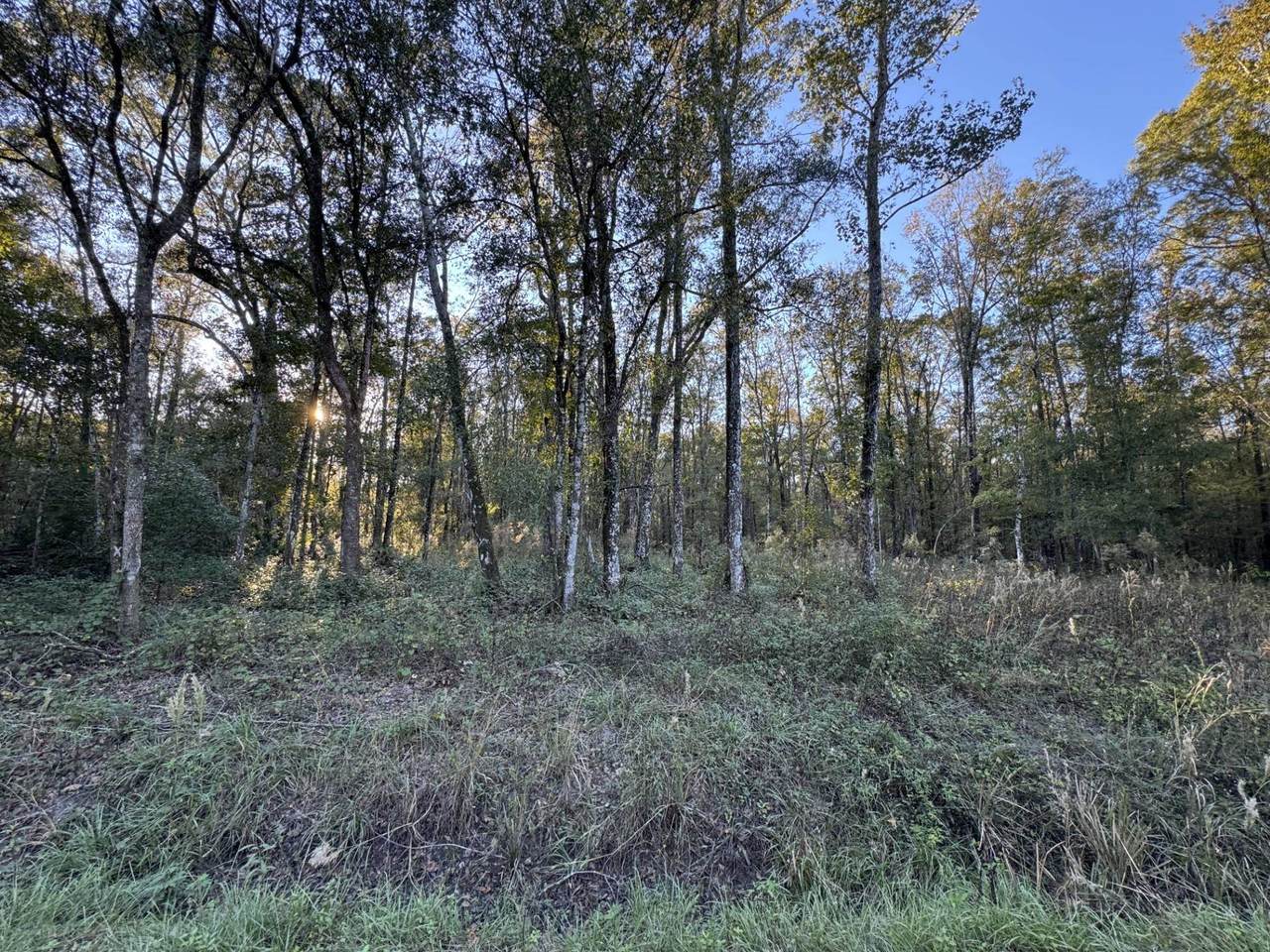 10175 Yeager Ave - Photo 1