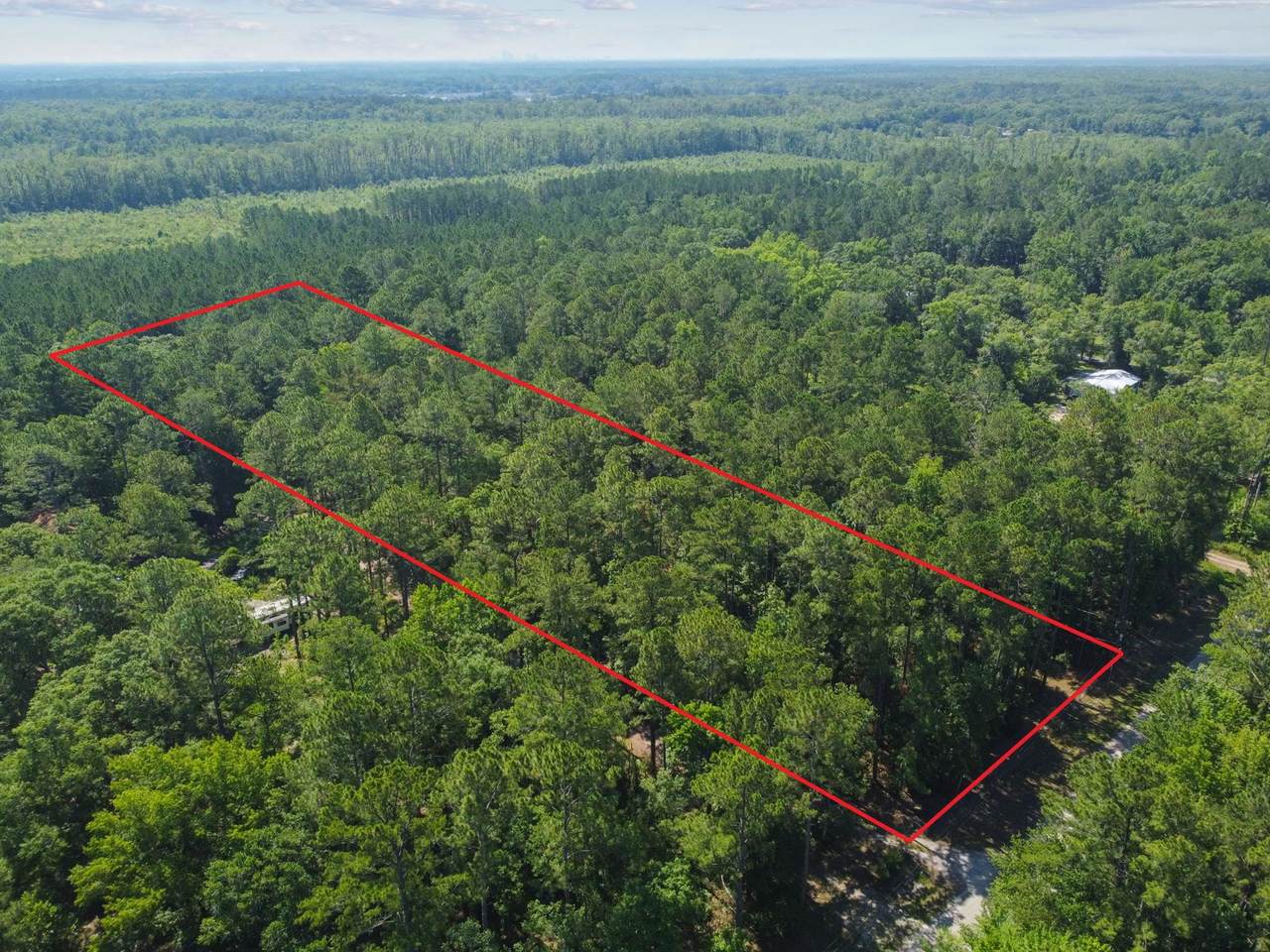 0 Alligators Rd - Photo 1