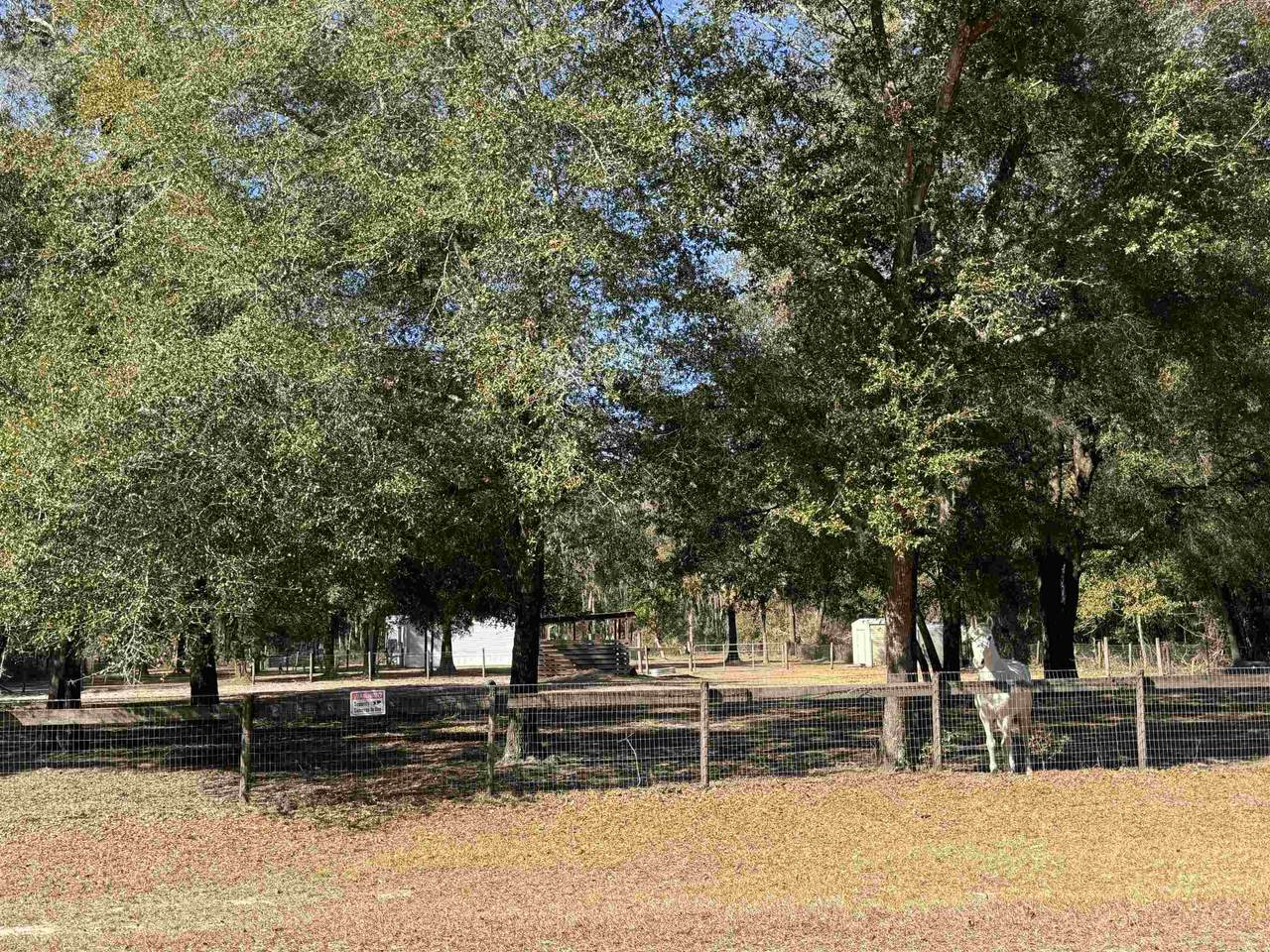 117 Phillips Road - Photo 1