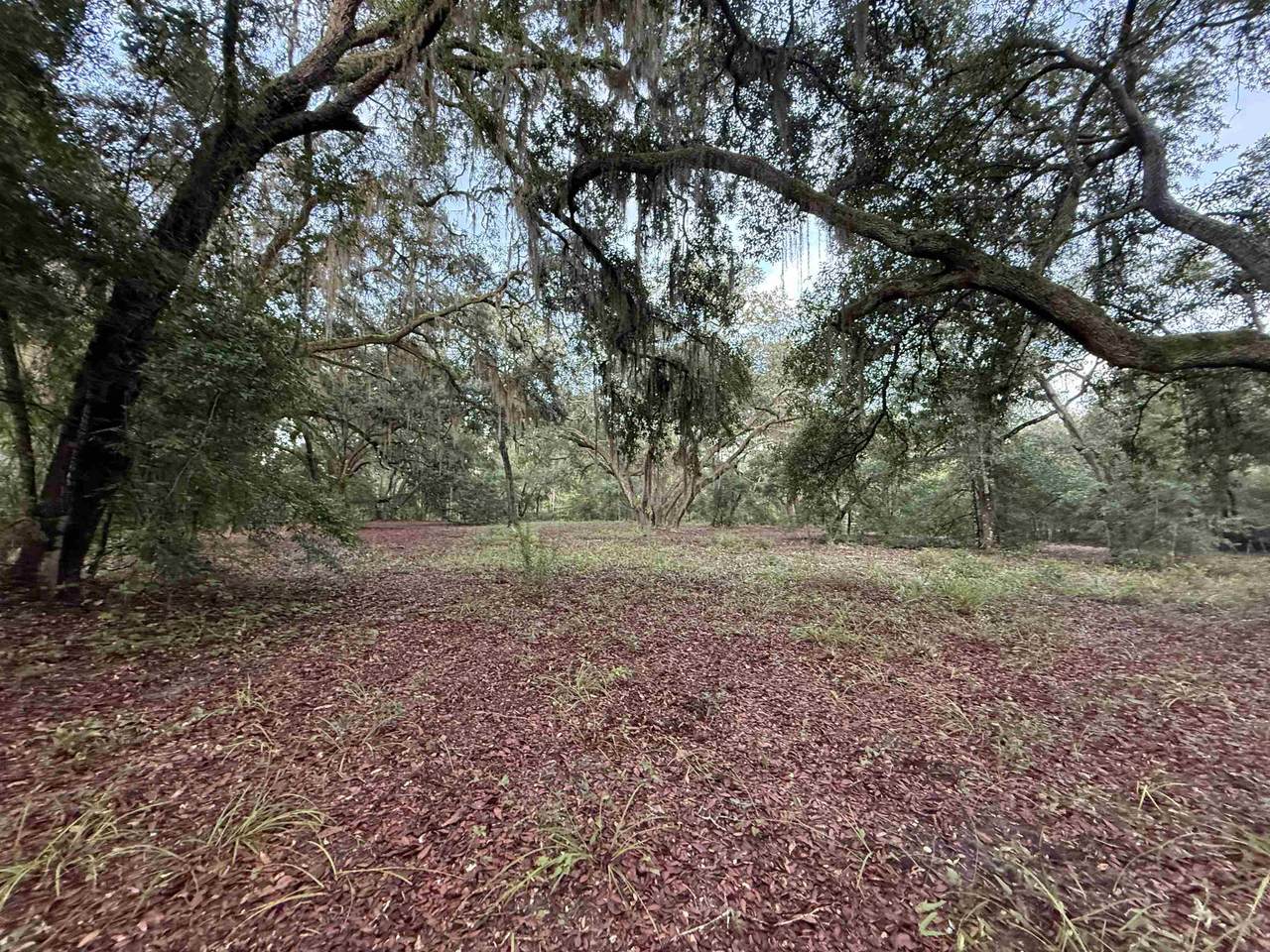 0 County Road 13 N - Photo 1
