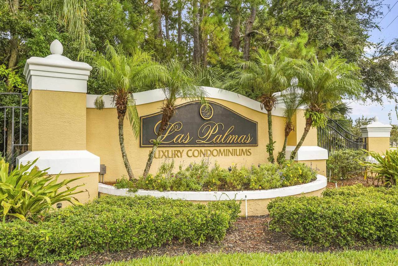 2005 Mariposa Vista Lane - Photo 1