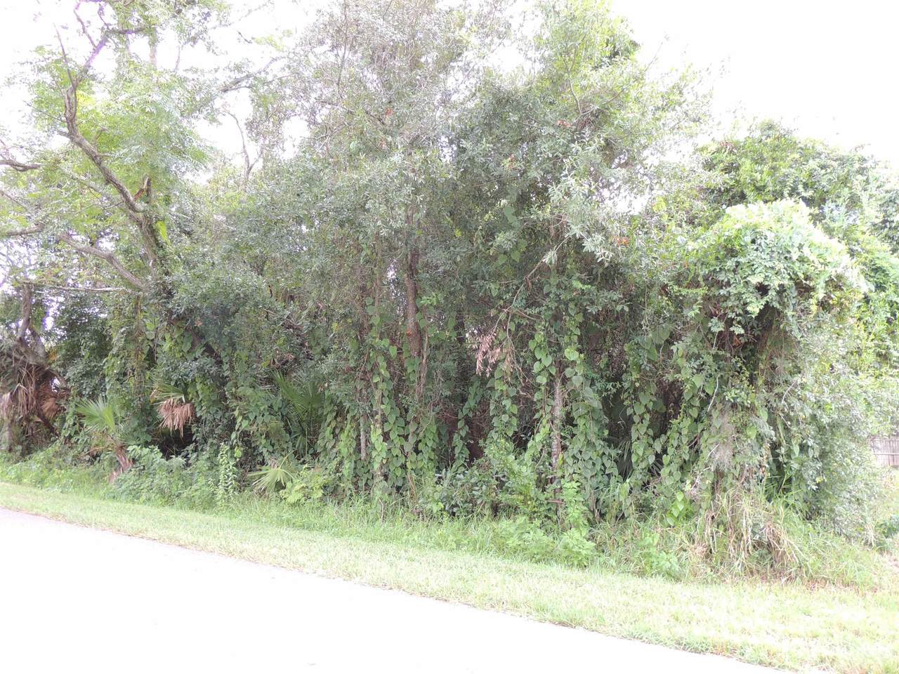 1040 Prince Rd - Photo 1