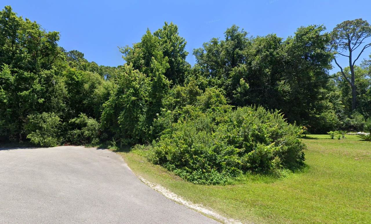 6253 Magnolia - Photo 1