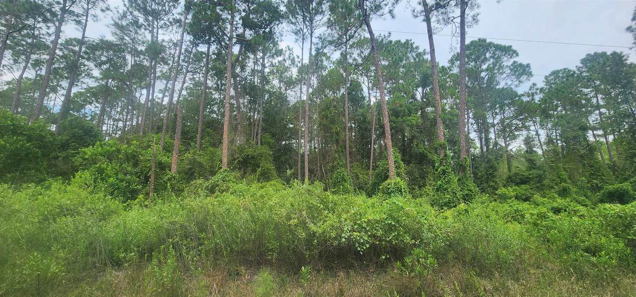 220 2Nd St - Photo 1