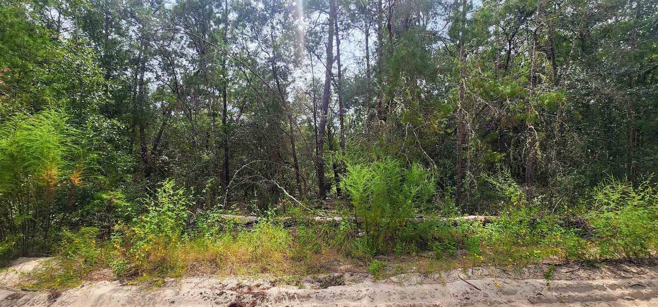 109 Locevan Ln - Photo 1