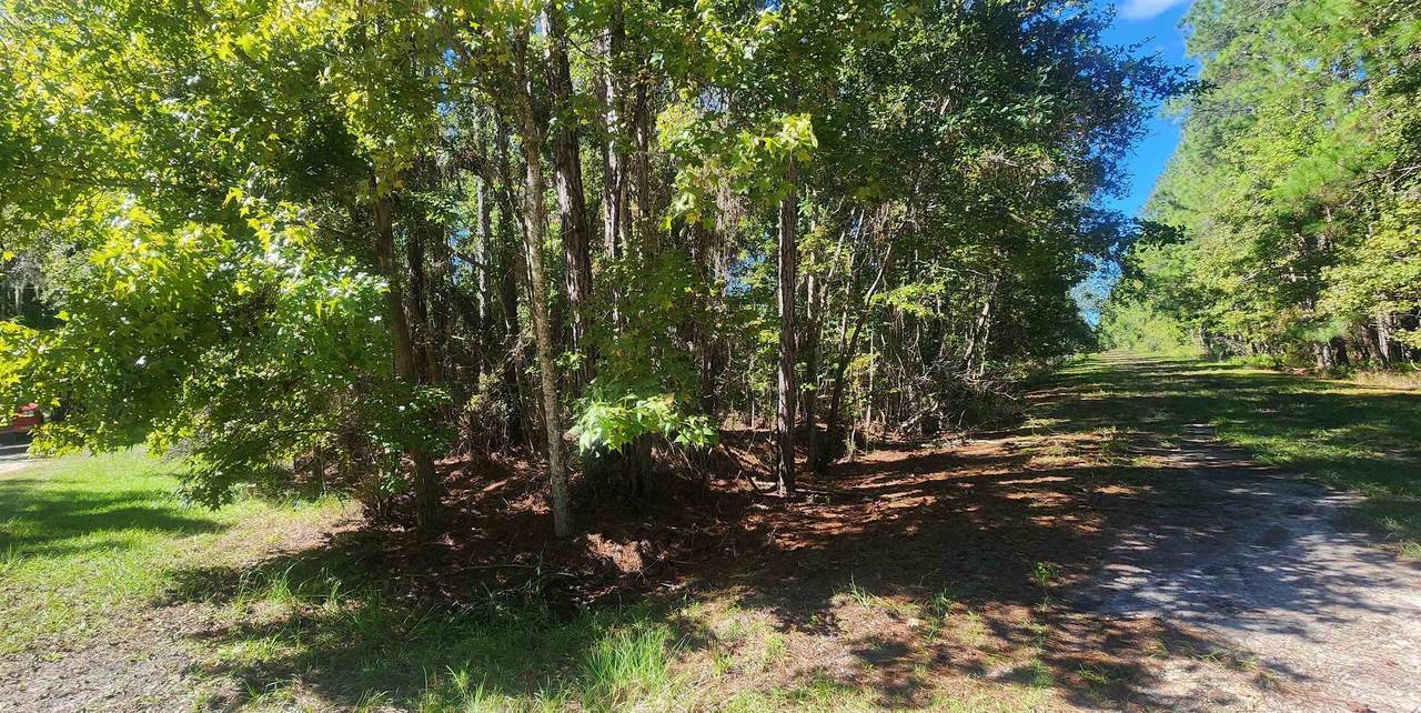 TBD Helen Ave - Photo 1