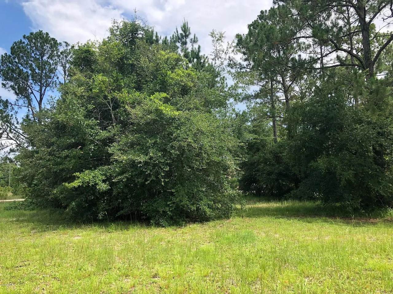 105 Terri Dr - Photo 1