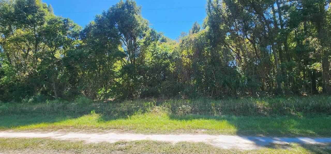 431 Redwood Blvd - Photo 1