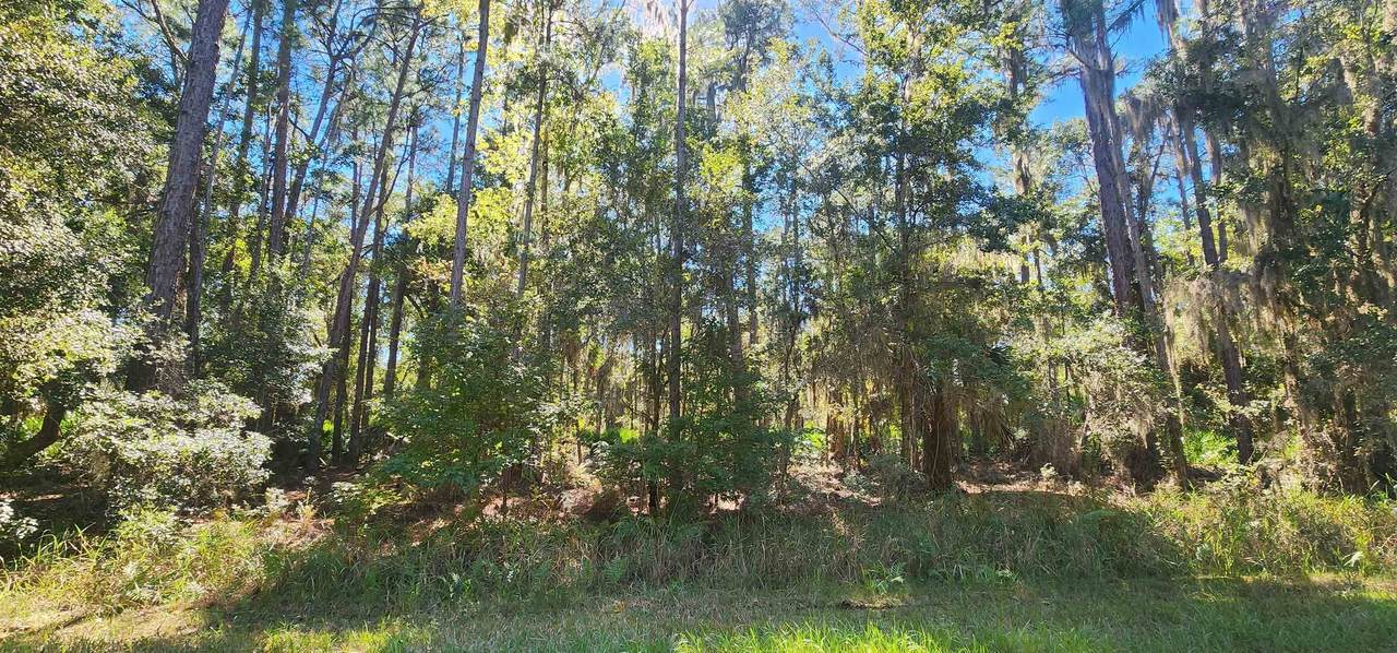 205 Terri Ave - Photo 1