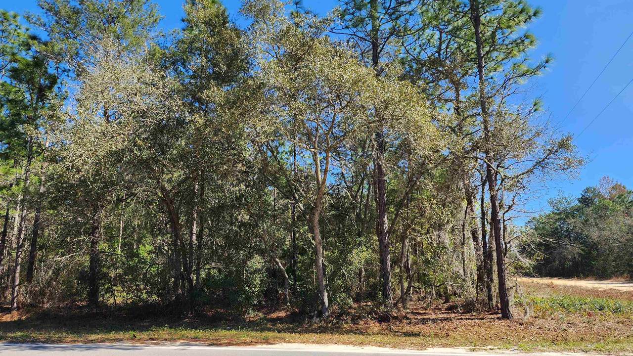 TBD Theresa Ave - Photo 1