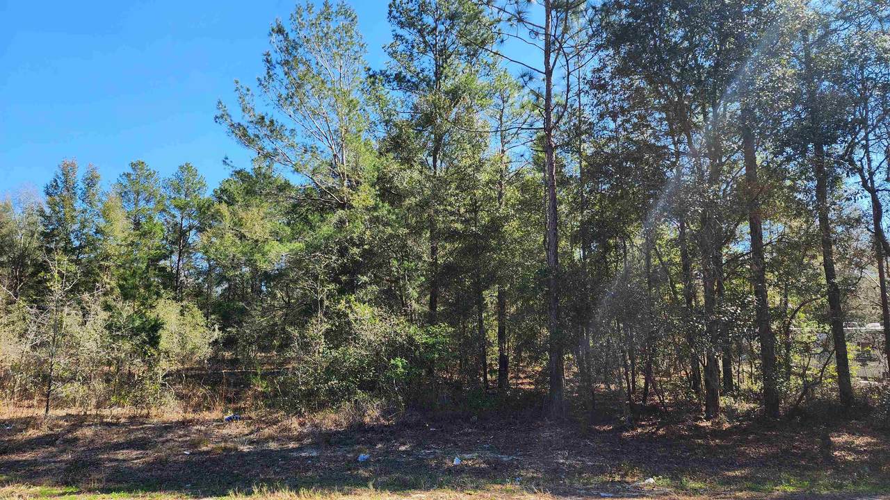 TBD Dawn Ave - Photo 1