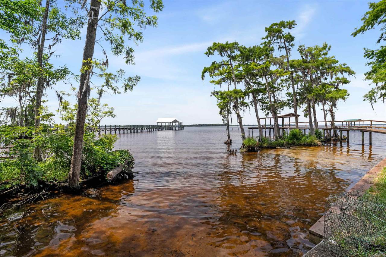 10115 County Road 13 - Photo 1