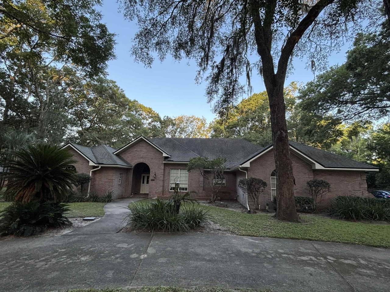 3641 Lone Wolf Trail - Photo 1