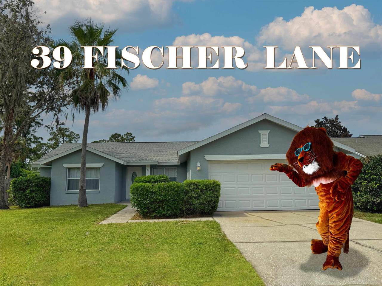 39 Fischer Ln - Photo 1