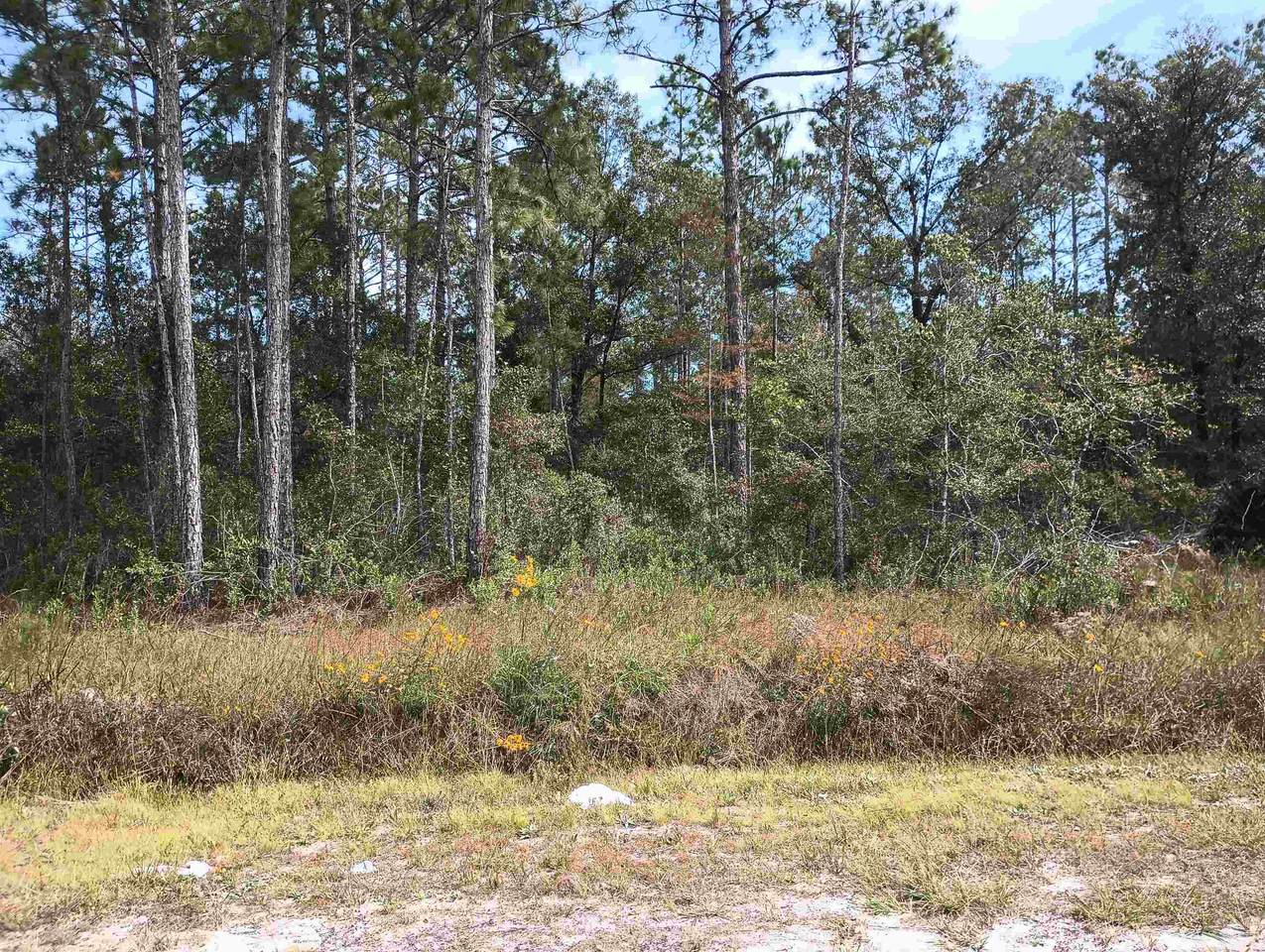 10440 Flikkema Ave - Photo 1