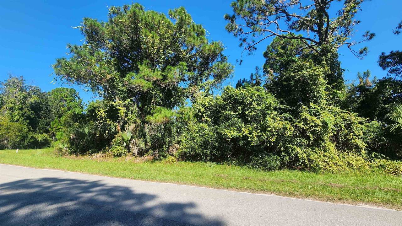 TBD Palm Way And Gardenia Ave - Photo 1