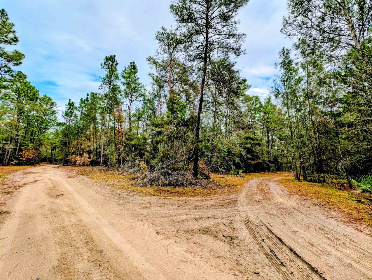  Rosewood Rd - Photo 1